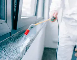Sanitização e desinfecção de ambientes — Dedetização